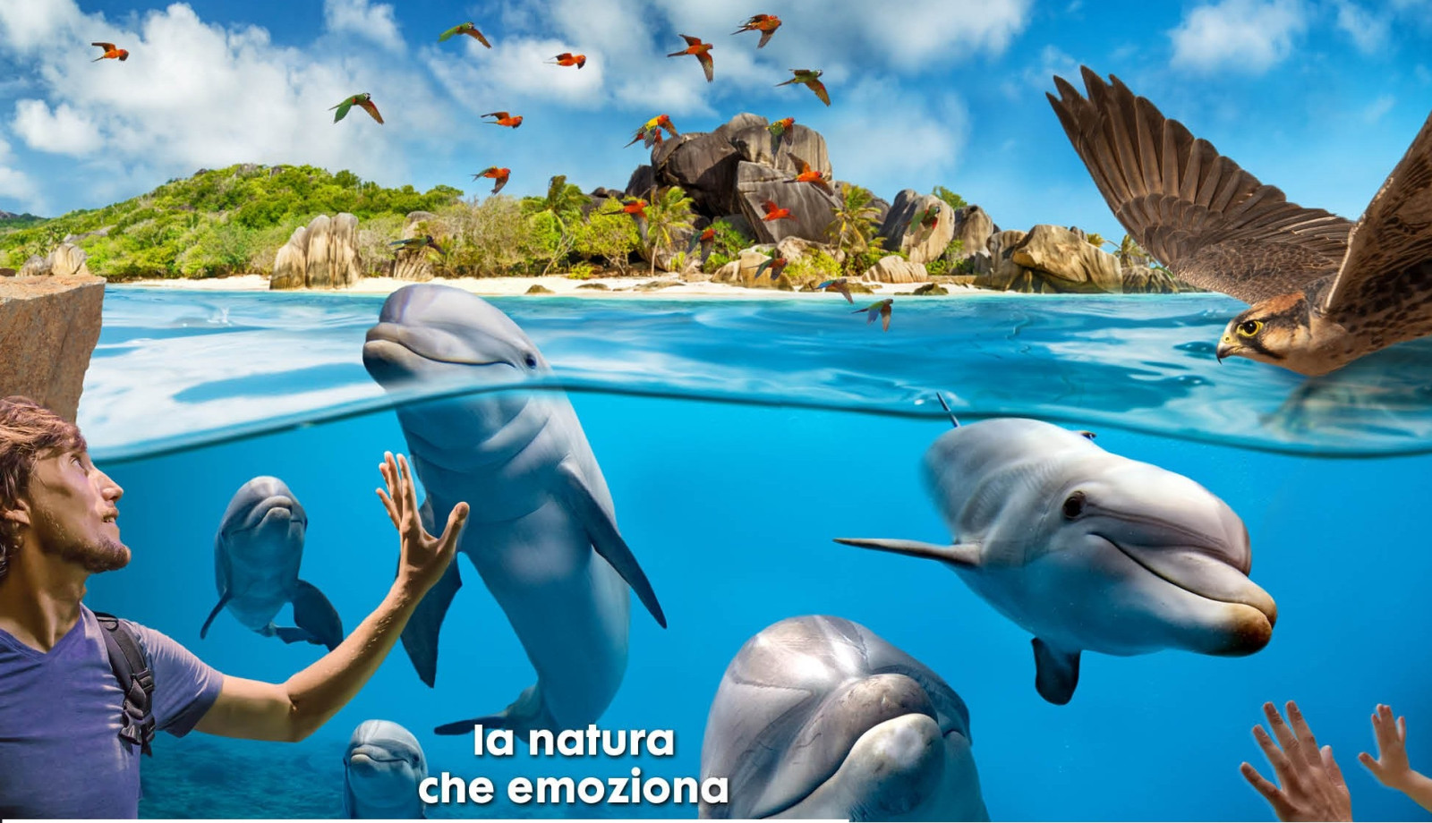 media.delfini banner