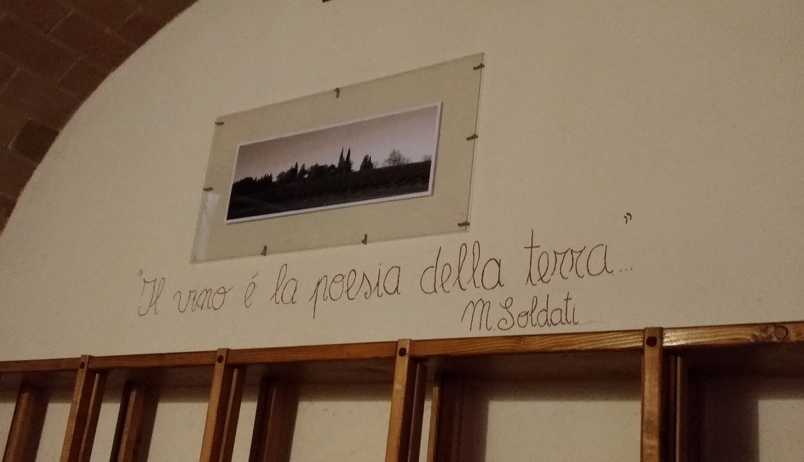 media.cantina vino (1)